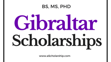 Fully funded Gibraltar Scholarships 2023 to Study for free in Gibraltar - Submit Online Applications
