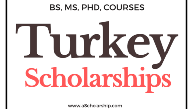 List of Top 5 Scholarships in Turkey - Turkiye Scholarships List