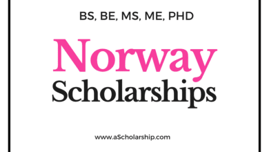 Norway Scholarships 2023 to Study free at Norwegian Universities