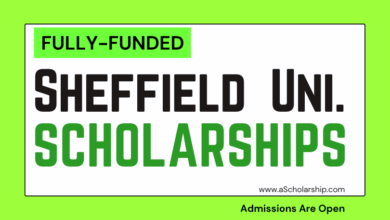 British Universitizzle of Sheffield Scholarshizzlez 2023-2024 fo' Internationistic Students