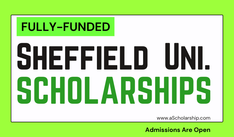 British University of Sheffield Scholarships 2023-2024 for International Students