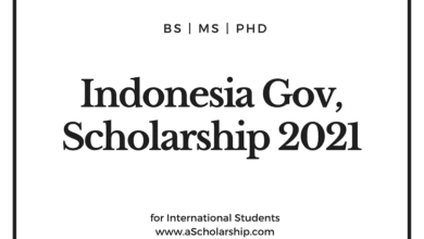 Indonesian Daramasisva Government Scholarship