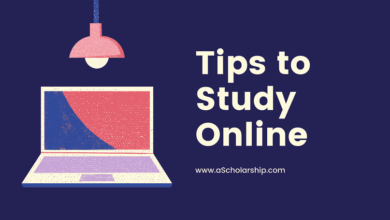 Online Studies - Online Courses Tips to Study Online Effectively and Earn an online Certificate