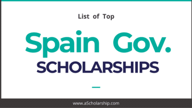 Scholarships in Spain 2023-2024 by Spanish Government and Universities