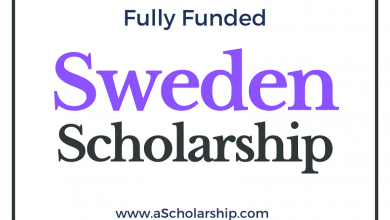 Swedish Institute Scholarships for Global Professionals (SISGP) 2021 Sweden Government Scholarship 2022-2023