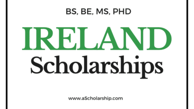 List of Scholarships in Ireland in 2023