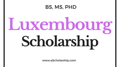 Luxembourg Scholarships 2022-2023: Start Your Free Education Now!