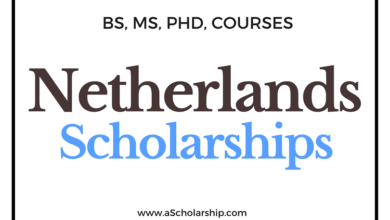 Netherlands Scholarships Verified List of Scholarships in Netherlands for Students