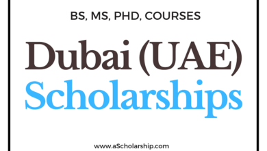 UAE (Dubai) Scholarships 2022-2023: Study for free in U.A.E.
