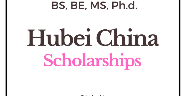 Hubei Provincial Government Scholarships 2023-2024 | Scholarships in China