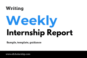 Weekly Internship Report Format, Example, Sample Writing a Weekly Internship Report