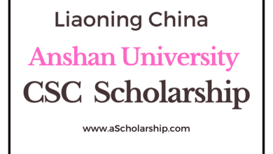 Anshan Normal University Liaoning China (CSC) Scholarship 2023 - China Scholarship Council - Chinese Government Scholarship