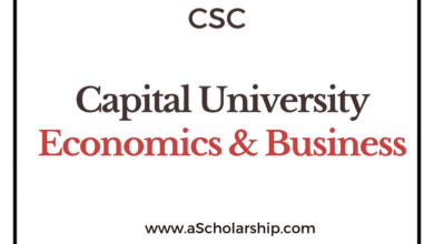 Capital University of Economics & Business (CSC) Scholarship 2022-2023 - China Scholarship Council - Chinese Government Scholarship