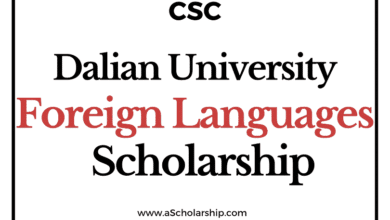 Dalian University of Foreign Languages (CSC) Scholarship 2022-2023 - China Scholarship Council - Chinese Government Scholarship