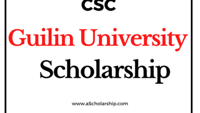 Guilin University of Electronic Technology (CSC) Scholarship 2022-2023 - China Scholarship Council - Chinese Government Scholarship