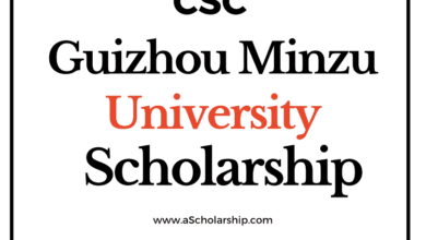 Guizhou Minzu University (CSC) Scholarship 2022-2023 - China Scholarship Council - Chinese Government Scholarship