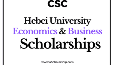 Hebei University of Economics and Business (CSC) Scholarship 2022-2023 - China Scholarship Council - Chinese Government Scholarship