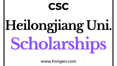 Heilongjiang University (CSC) Scholarship 2022-2023 - China Scholarship Council - Chinese Government Scholarship