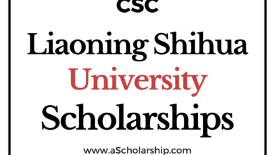 Liaoning Shihua University (CSC) Scholarship 2022-2023 - China Scholarship Council - Chinese Government Scholarship