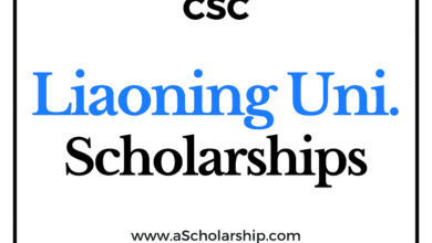 Liaoning University (CSC) Scholarship 2022-2023 - China Scholarship Council - Chinese Government Scholarship