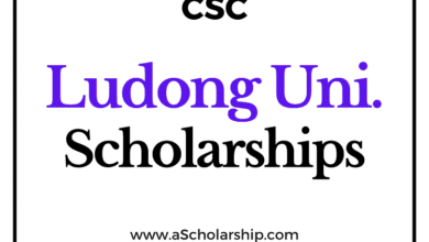 Ludong University (CSC) Scholarship 2022-2023 - China Scholarship Council - Chinese Government Scholarship
