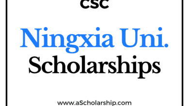 Ningxia University (CSC) Scholarship 2022-2023 - China Scholarship Council - Chinese Government Scholarship