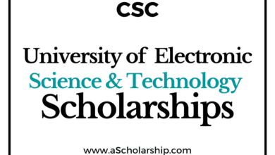 University of Electronic Science and Technology of China (CSC) Scholarship 2022-2023 - China Scholarship Council - Chinese Government Scholarship