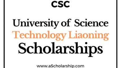 University of Science and Technology Liaoning (CSC) Scholarship 2022-2023 - China Scholarship Council - Chinese Government Scholarship