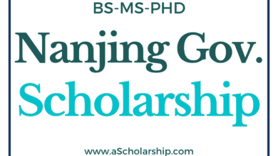 Nanjing Municipal Government (NMG) Scholarships 2023-2024 | Apply Online