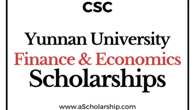 Yunnan University of Finance and Economics (CSC) Scholarship 2022-2023 - China Scholarship Council - Chinese Government Scholarship