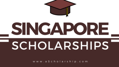 Singapore Scholarships 2022-2023