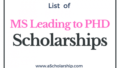 MS Leading to Ph.D. Scholarships in 2021