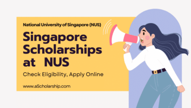 National University Of Singapore (NUS) Scholarships 2024 for International Students