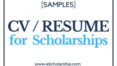 Writing a Detailed CV for Scholarship Application