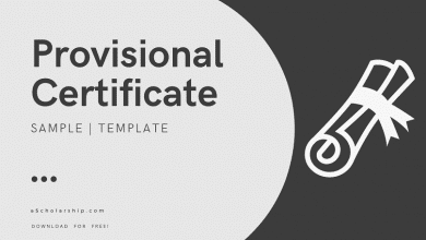 Provisional Certificate Application Samples, Templates, and Ultimate Writing Guide