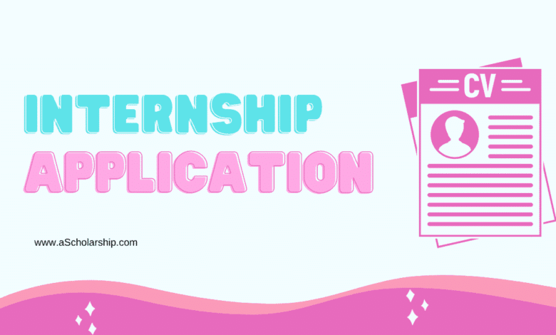 Submit an Application for Summer Internship
