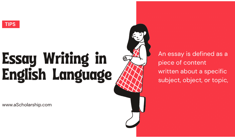 [Pro Guide] Essay Writing in English Language 10 Key Steps