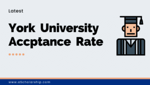 York University Toronto Acceptance Rate Latest Figures