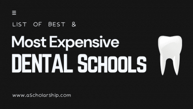 Best and Most Expensive Dental Schools Globally [Open for Admissions]