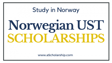 Norwegian University of Science and Technology NTNU Scholarships 2022 Free Education in Norway