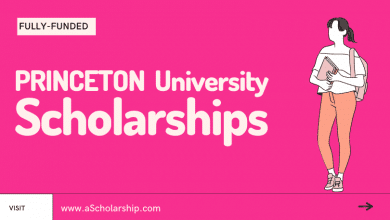 Princeton University Scholarships Study for free at Princeton University