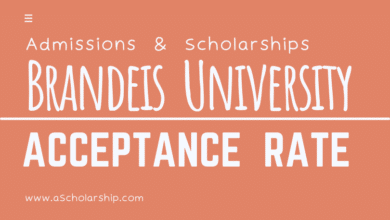 Brandeis University Scholarships 2023-2024 Acceptance Rate 39%