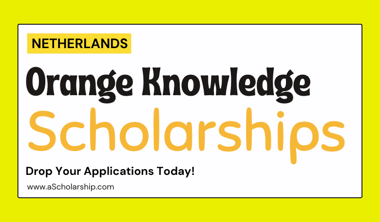Netherlands Orange Knowledge Program Scholarships (OKP)
