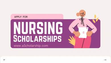 fully funded Nursing Scholarships