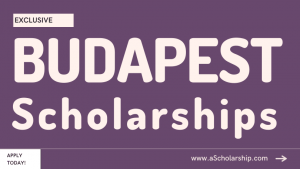 Budapest Scholarships Applications Open - Hungary Government Scholarships