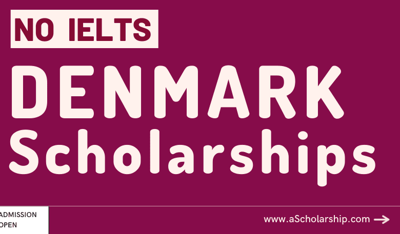 Denmark Scholarships 2024 Without IELTS to Study for free in Denmark