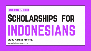 Scholarships for Indonesian Students Without IELTS and TOEFL