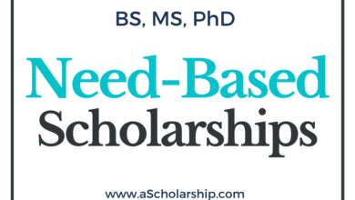 Need-Based Scholarships 2023-2024 for Pakistani Students Submit Online Application!