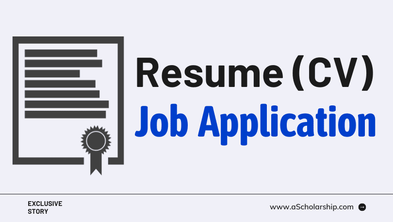 Winning Resume (CV) Format for Job Application