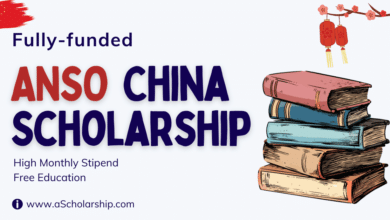 ANSO Scholarship for Young Talents 2024 in China